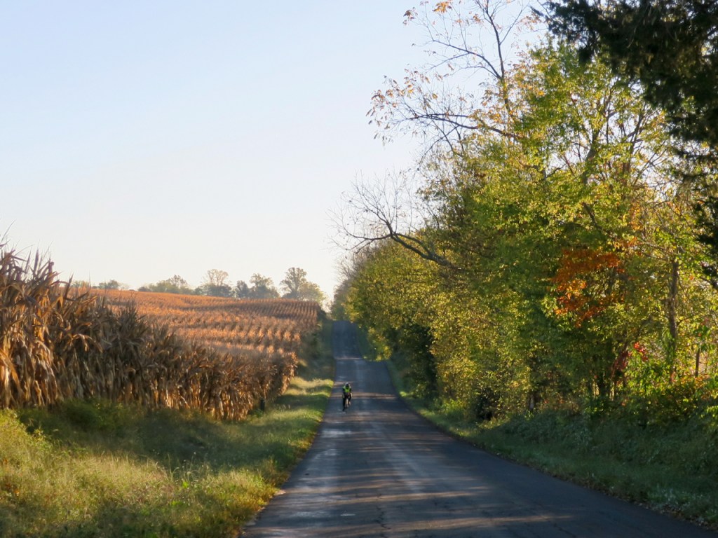 Cracking the Perfect Ride&nbsp;Code