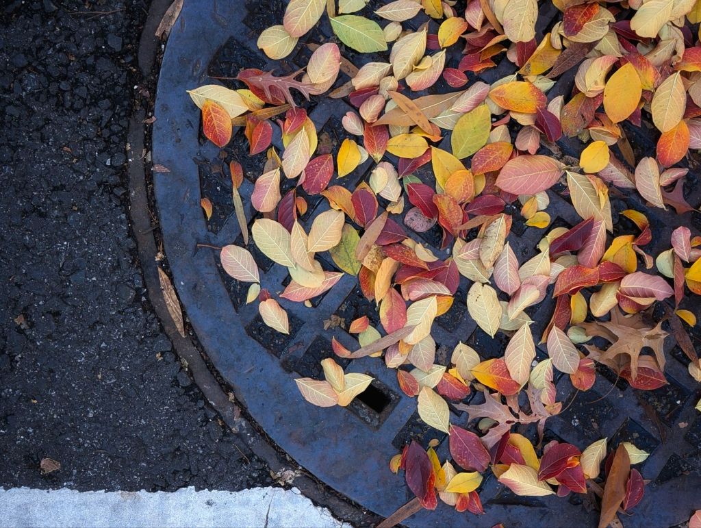 2024 in Books: My Fave 15&nbsp;Reads