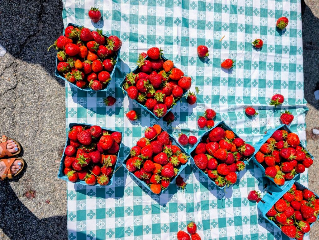 All Head No&nbsp;Body